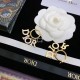 Dior Earring