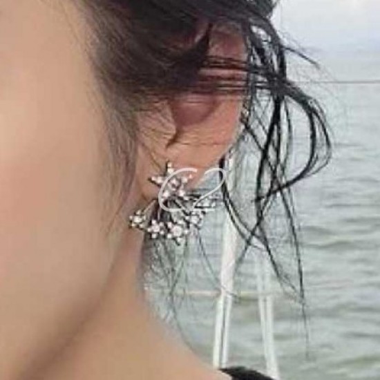 Dior Earring