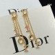 Dior Earring