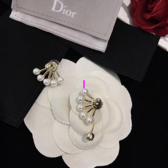 Dior Earring