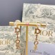 Dior Earring