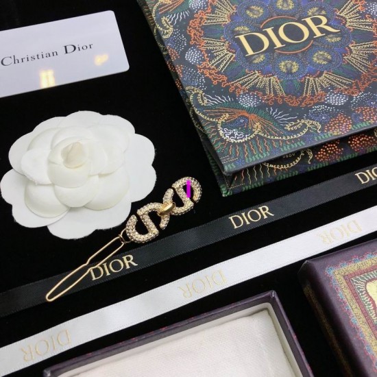 Dior Brooch