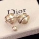 Dior Earring