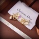 Dior Earring