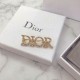 Dior Brooch