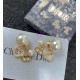 Dior Earring