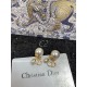 Dior Earring