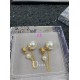 Dior Earring