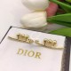 Dior Earring