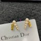 Dior Earring