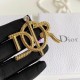 Dior Brooch