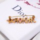 Dior Brooch