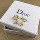 Dior Earring