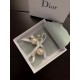 Dior Earring