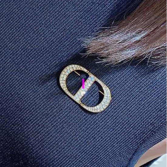 Dior Brooch