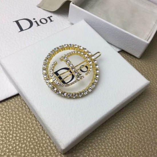 Dior Brooch