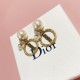 Dior Earring