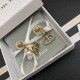 Dior Earring