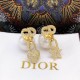 Dior Earring