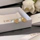 Dior Earring