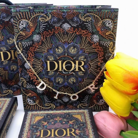 Dior Necklace