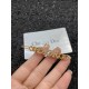 Dior Hair clip