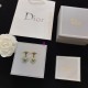 Dior Earring