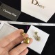 Dior Earring