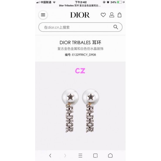 Dior Earring