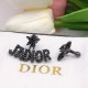 Dior Earring