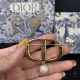 Dior Brooch