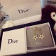 Dior Earring