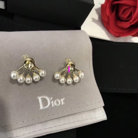 Dior Earring