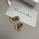 Dior Earring