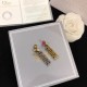 Dior Earring