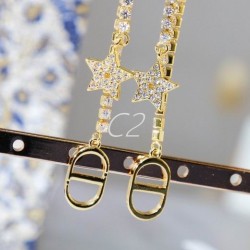 Dior Earring