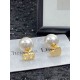 Dior Earring