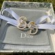 Dior Earring