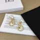 Dior Earring