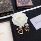 Dior Earring