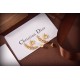 Dior Earring