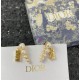 Dior Earring