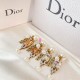 Dior Earring