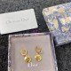 Dior Earring