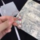 Dior Earring