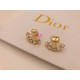 Dior Earring