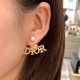 Dior Earring