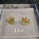 Dior Earring