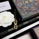 Dior Hair clip