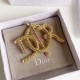 Dior Brooch